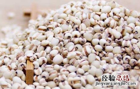薏米仁可以减肥吗 薏米仁能减肥吗