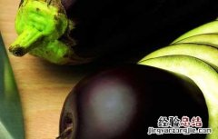 茄子有毒吗 不熟的茄子有毒吗