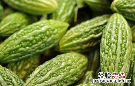 苦瓜可以生吃吗有什么功效禁忌 苦瓜可以生吃吗