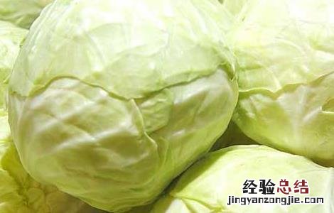 卷心菜怎么吃减肥效果好 卷心菜能减肥吗