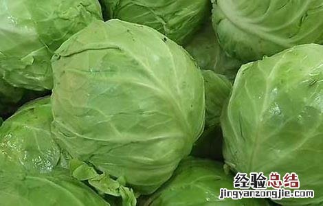 卷心菜怎么吃减肥效果好 卷心菜能减肥吗