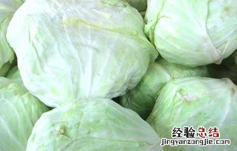 卷心菜怎么吃减肥效果好 卷心菜能减肥吗