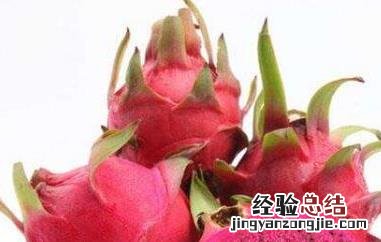 吃火龙果的好处和坏处 空腹吃火龙果的好处和坏处