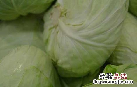 卷心菜能生吃吗沙拉 卷心菜能生吃吗