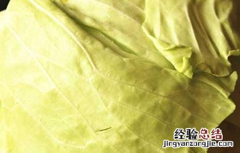 卷心菜能生吃吗沙拉 卷心菜能生吃吗