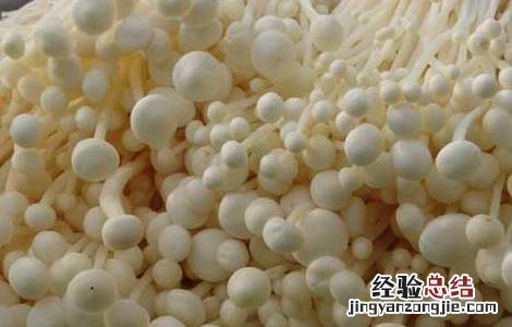 金针菇能生吃不 金针菇能生吃吗