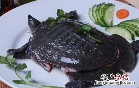 吃甲鱼过敏怎么办 吃甲鱼过敏怎么办有什么达效药