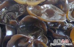 黑木耳可以减肥吗 黑木耳可以减肥吗
