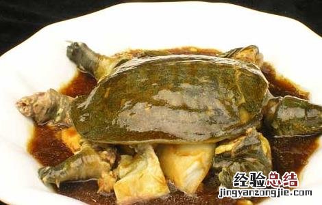 甲鱼怎么杀和如何选购 甲鱼应该怎样杀