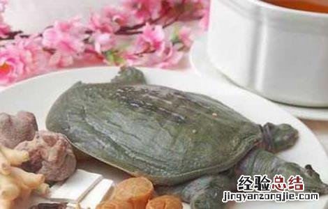 甲鱼怎么杀和如何选购 甲鱼应该怎样杀