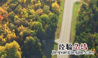 关于森林防火的手抄报资料 森林防火的手抄报怎么办