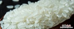 米里面长了黑色虫子怎么办 米里面长黑色的虫子怎么办