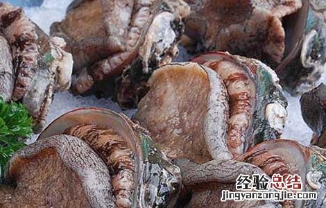 鲍鱼的处理方法 鲍鱼的处理方法有哪些