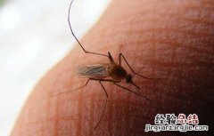 蚊子为什么要吸血才能生宝宝 蚊子为什么要吸血