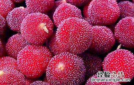 杨梅用盐水泡多久? 杨梅用盐水泡多久