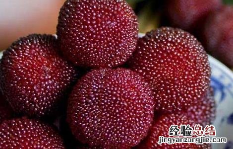 杨梅虫可以吃吗有毒吗 杨梅虫可以吃吗