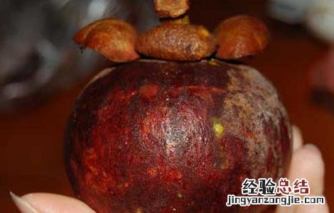 山竹怎么吃最好最有营养 山竹怎么吃最好