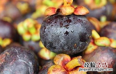 山竹怎么吃最好最有营养 山竹怎么吃最好