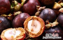山竹吃多了会不会上火? 山竹吃多了会上火吗