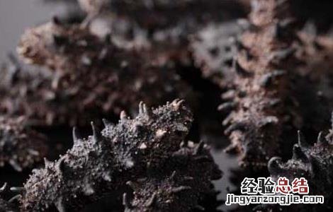 人造海参有什么危害 人造海参有什么危害吗
