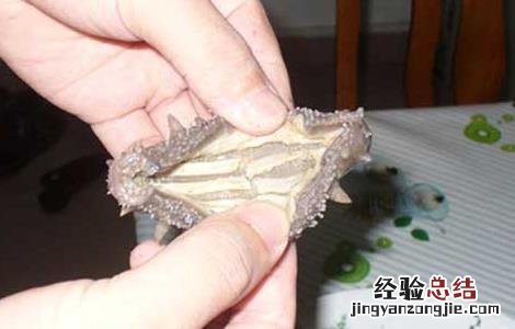 人造海参有什么危害 人造海参有什么危害吗