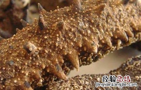 纯淡干海参的泡发方法 淡干海参的发泡方法