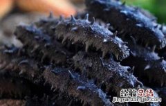 纯淡干海参的泡发方法 淡干海参的发泡方法