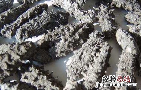 纯淡干海参的泡发方法 淡干海参的发泡方法