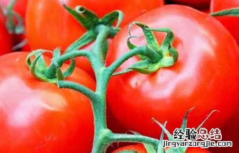 生吃西红柿的好处和坏处是什么 生吃西红柿的好处和坏处