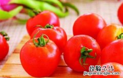 西红柿怎么吃减肥效果最好 西红柿怎样减肥最有效