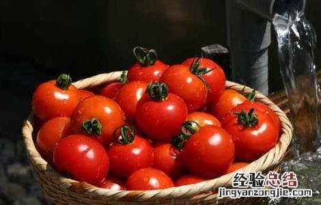空腹吃西红柿好不好 空腹吃西红柿不好吗