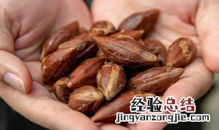 哪些人不能吃榄角 榄角什么人不能吃