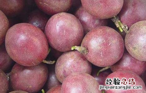 百香果的挑选方法 百香果的挑选方法图解