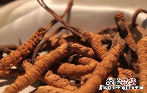 冬虫夏草酒自制方法 冬虫夏草酒自制方法