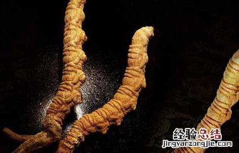冬虫夏草酒自制方法 冬虫夏草酒自制方法