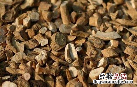 常喝板蓝根好吗 经常喝板蓝根好吗