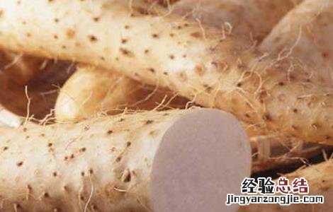 山药发芽能吃吗 看完你就知道了 山药发芽能吃吗
