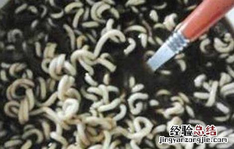 板蓝根泡面能吃吗有毒吗 板蓝根泡面能吃吗