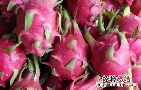 火龙果怎么保存才新鲜 火龙果怎么保存