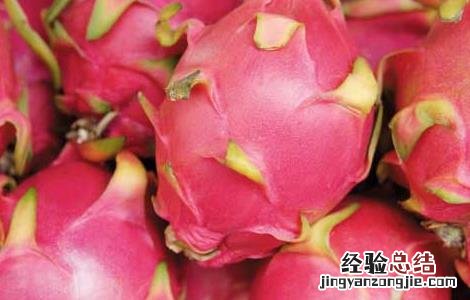 火龙果怎么保存才新鲜 火龙果怎么保存