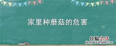 家里种蘑菇的危害视频 家里种蘑菇的危害