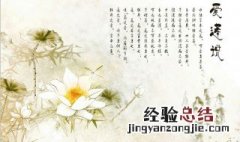 爱莲说运用了什么手法表达了作者什么样的生活态度 爱莲说阐述了作者怎样的生活态度