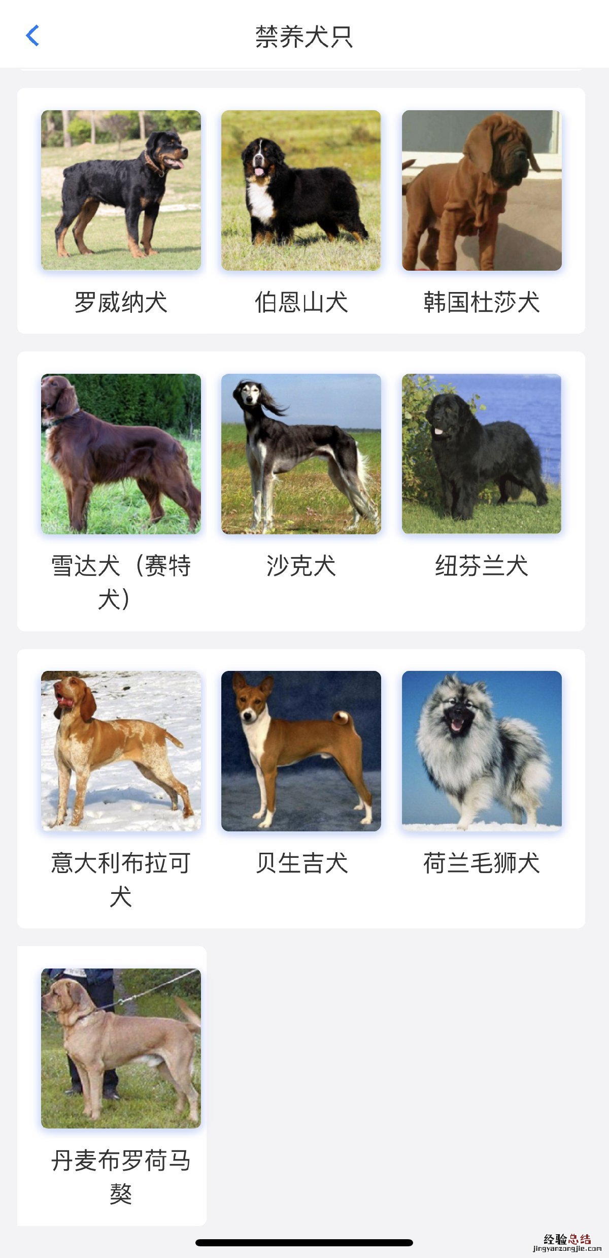 无锡市犬类 无锡37种烈性犬名单