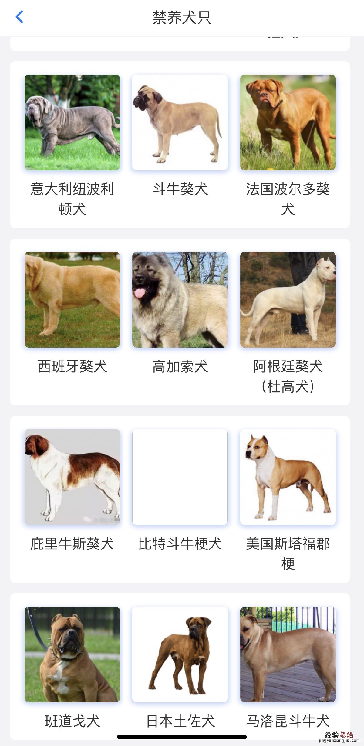 无锡市犬类 无锡37种烈性犬名单