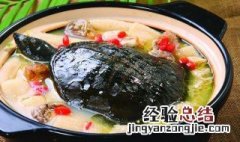 滋补水鱼汤如何做 滋补的水鱼汤做法介绍