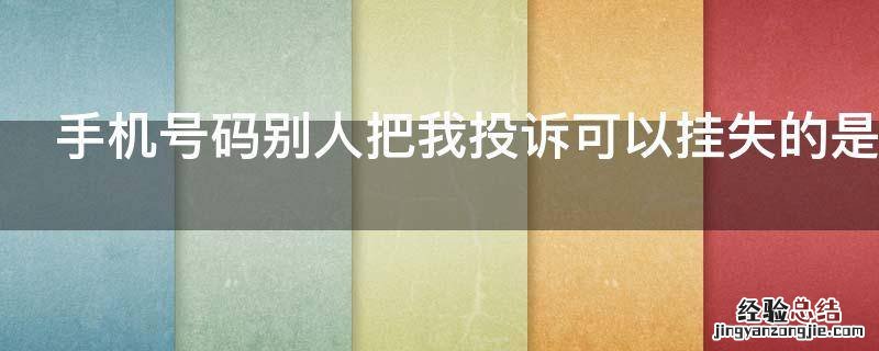 手机号码别人把我投诉可以挂失的是吗
