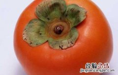 吃柿子的禁忌有哪些东西 吃柿子的禁忌有哪些