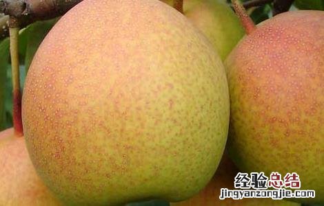 春季吃什么水果好? 春季吃什么水果好窍门