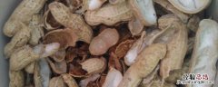 花生壳怎么制作花肥 生花生壳怎么做肥料