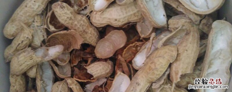 花生壳怎么制作花肥 生花生壳怎么做肥料